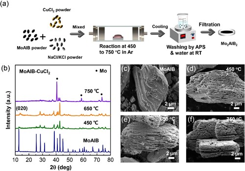 Figure 1. (a) Scheme of molten salt method of Mo2AlB2 in Ar. (b) XRD patterns of pristine MoAlB precursor and products after etched at 450–750°C for 30 min, respectively. (c-f) SEM images of pristine MoAlB precursor and products at different etching temperatures.