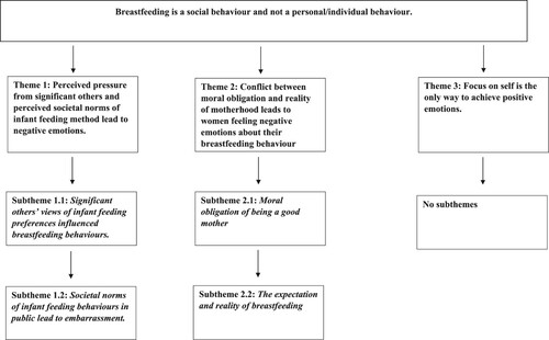 Figure 2. Overview of themes and subthemes.