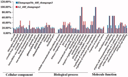 Figure 5. Proteins differentially expressed between Zhangzagu3 and its parents. Note: GO analysis results.