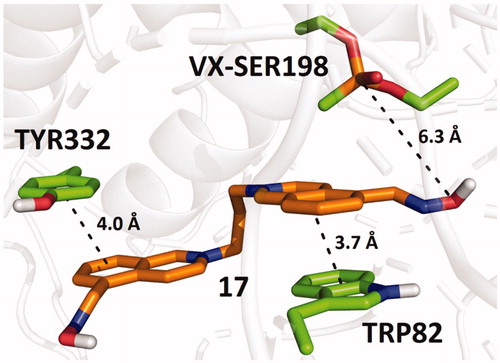 Figure 5. Predicted binding mode of compound 17 (orange) in hBChE inhibited by VX (pdb id: 2xqf).