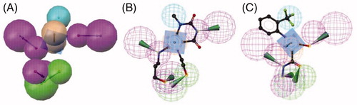 Figure 2. (A) EPO inhibitor model 5 composed out of six chemical features: three HBDs (magenta), one HBA (green), one Hy (cyan), and one AR (brown). The training compounds 1 (B) and 2 (C) fitted into the pharmacophore are shown.
