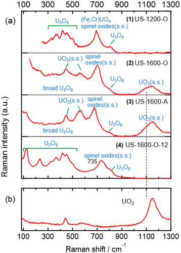 Figure 2. (a) Averaged Raman spectra of the U-SUS simulated debris (1–4). (b) A typical Raman spectrum of cubic UO2.