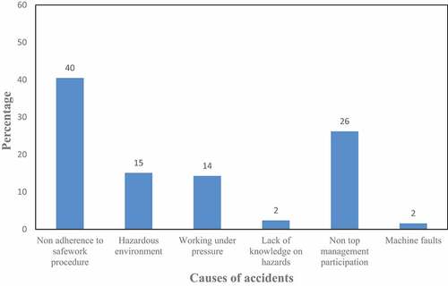 Figure 5. Causes of accidents at delta sparkling beverages.