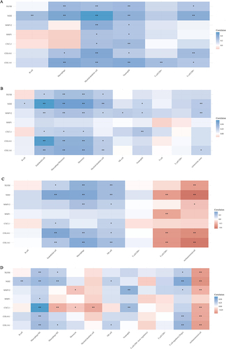 Figure 5 Correlation analysis of hub genes with immune cell infiltration. Based on the RNA-seq data of EAC in TCGA database, we used the R package immunedeconv, including four latest algorithms TIMER (A), MCP-counter (B), EPIC (C) and quanTIseq (D), to analyze the correlation between hub genes and different immune cell infiltrations, and the analysis results were presented by the R package pheatmap. Spearman correlation analysis was used to characterize the correlation between hub genes and different types of immune cells. *(P < 0.05) or **(P < 0.01) represents statistical significance.