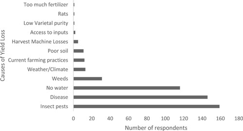 Figure 1. The main causes of rice yield loss according to farmers.