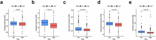 Figure 8. The prognosis signature used as an indicator for chemosensitivity as high-risk scores were related to half inhibitory centration (IC50) for chemotherapeutics. (a) cisplatin; (b) docetaxel; (c) doxorubicin; (d) gemcitabine; (e) paclitaxel