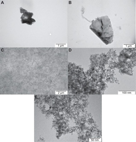 Figure 1 Characterization of nanoparticles by transmission electron microscopy. (A) Reduced graphene oxide, (B) pristine graphene, (C) graphene oxide, (D) ultradispersed detonation diamond, and (E) graphite.