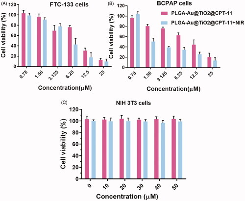 Figure 2. In vitro cytotoxicity of B-CPAP and FTC-133 thyroid cancer cell lines with NIH3T3 non-cancerous cell lines.