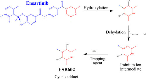 Scheme 7 Supposed metabolic sequence for reactive iminium intermediate formation at piperazine rings in ESB metabolism and a potential capturing strategy.