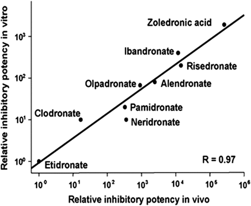 Figure 2.  Differences in potency of different classes of bisphosphonates Citation[9].