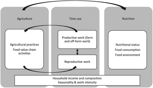 Figure 1 Conceptual framework: Gendered time use, agriculture, and nutrition.Source: Adapted from Johnston et al. (Citation2018).