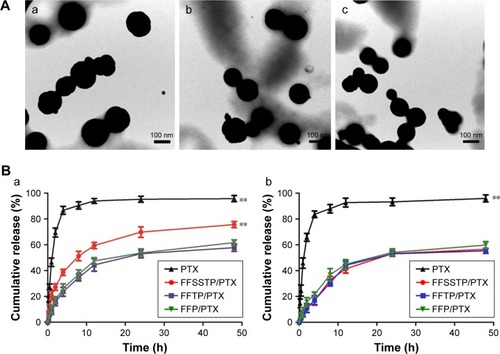Figure 5 Characterization and reduction-triggered release of PTX-loaded mixed micelles.Notes: (A) TEM micrograph of PTX-loaded mixed micelles: (a) FFSSTP–PTX, (b) FFTP–PTX, and (c) FFP–PTX. (B) In vitro release behavior of PTX from FFSSTP/PTX, FFTP/PTX, and FFP/PTX micelles in PBS solution with (a) or without (b) 10 mm DTT (mean ± SD, n=3). **P<0.01: significantly different from FFP/PTX micelles.Abbreviations: DTT, dithiothreitol; FA, folate; FFP, F127-FA/FT/P123; FFSSTP, F127-folate/F127-disulfide bond-d-α-tocopheryl polyethylene glycol 1000 succinate/P123; FFTP, F127-FA/FT/P123; FT, F127-TPGS; PBS, phosphate buffered solution; PTX, paclitaxel; TEM, transmission electron microscopy; TPGS, d-α-tocopheryl polyethylene glycol 1000 succinate.