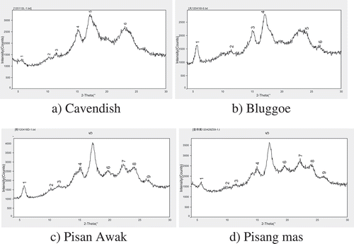 Figure 2. X-ray diffraction spectra of resistant starch samples isolated from four banana cultivars.