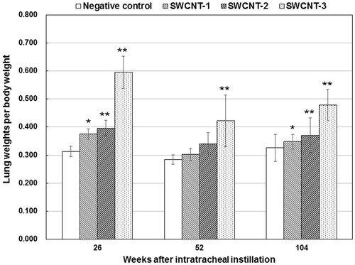 Figure 4. Normalized lung weights of rats to the body weights after a single intratracheal instillation of SWCNTs. The error bars indicate standard deviations. * and ** denote significant differences p ≤ .05 and p ≤ .01 (Fisher’s exact test) from the DNA/PBS group, respectively.