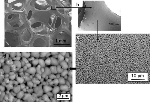 Figure 8. Scanning electron microscopy images showing the macro and the microstructure of the sintered titania foams coated with the anatase colloidal suspension by microwave heating and heated at 650 °C. The excellent homogeneity of the struts microstructure can be observed as well as the formation of anatase nanoparticles on the titania surfaces.