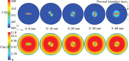 Figure 13. Cross section of temperature and velocity contours in YOZ plane.