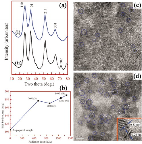 Figure 6. Typical XRD patterns (a) of SnO2 QDs: (i) unirradiated SnO2 QDs, (ii) irradiated SnO2 QDs which was irradiated at 1400 kGy; Specific surface area (b) of unirradiated SnO2 QDs and irradiated SnO2 QDs at 700, 980, 1260, and 1400 kGy, respectively. HRTEM images of (c) unirradiated SnO2 QDs, (d) irradiated SnO2 QDs which was irradiated at 1400 kGy. Scale bar = 5 nm. Reprinted with permission from Ref. [Citation63]. Copyright 2011 American Chemical Society.