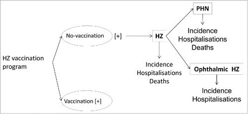 Figure 1. Decision tree and health states related to HZ included in the mathematical model.