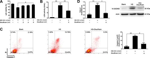 Figure 2 Increased pyroptosis was observed in hyperosmotic stress (HS)-triggered human corneal epithelial cells (iHCECs) in vitro, while inhibition of pyroptosis by disulfiram could protect cells from HS-induced cell cytotoxicity. (A) Cell viability of iHCECs treated with various concentrations of disulfiram (2, 4, 8 μM). (B) Disulfiram treatment (8 μM) suppressed lactate dehydrogenase (LDH) release in HS-stimulated cells. (C) Disulfiram treatment (8 μM) reduced the proportion of pyroptotic cells, shown as Caspase-1/PI double positive by flow cytometry. (D) Relative protein level of N-GSDMD in blank, HS, and disulfiram treated groups. *P<0.05, **P<0.01.