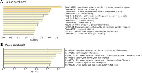 Figure 6 GO and KEGG analysis of genes co-expressed with PPP1R3B.