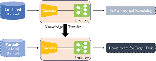 Figure 8. Working principle of a self-supervised learning algorithm.