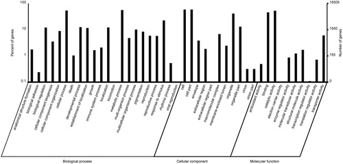 Figure 3. Gene ontology classification of assembled unigenes of Euphorbia kansui. In total 15,506 unigenes were categorized into three main categories: biological process, cellular component and molecular function.