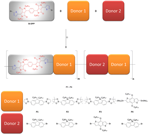 Figure 1. Synthetic route of P1–P4. Reagents and conditions: (i) In case of the Suzuki cross coupling reaction: Pd(PPh3)4/potassium carbonate/Aliquat 336©/water/toluene/120 °C; in case of the Stille cross coupling reaction: Pd(PPh3)4/toluene/100 °C.