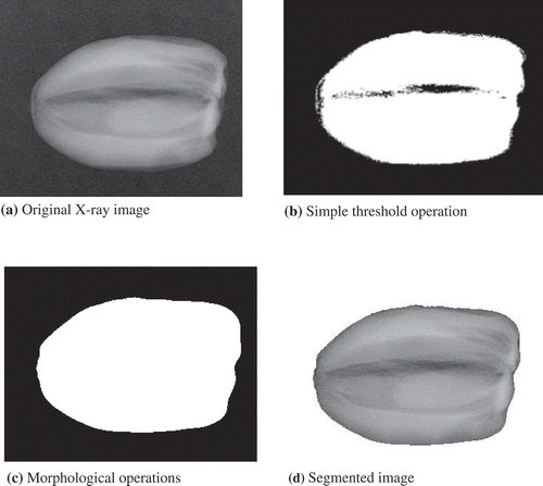 Figure 2. Segmentation of date images for features extraction.