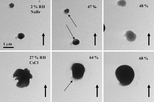 FIG. 10 Images of NaBr particles (top row) and a CsCl particle (bottom row) as the RH was increased past the deliquescence point of 48% for the NaBr particles and 68% for the CsCl particle. Thin arrows highlight particle rounding and water uptake prior to the DRH. The particles were prepared on a flat carbon film (with Formvar) and were generated using a TSI atomizer.