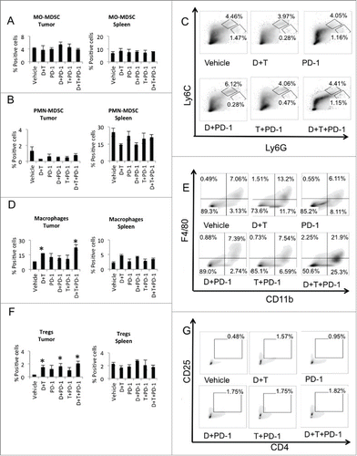 Figure 3. Dabrafenib and trametinib changed the cellular components of the tumor microenvironment. On day 5 post-treatment, tumors and spleens were isolated and stained with fluorescent labeled antibodies, analyzed by FACS. (A) MO-MDSC (CD11b+Ly6CHi Ly6GLo) presented as percentage of CD11b+ cells in tumors and spleens. (B) PMN-MDSC (CD11b+Ly6CLowLy6GHi) presented as percentage of CD11b+ cells in tumors and spleens. (C) Representative flow data of percentage of CD11b+Ly6CHi Ly6GLo and CD11b+Ly6CLowLy6GHi in tumors is shown. (D) Analysis of macrophages (F4/80+CD11b+). *p = 0.03 Vehicle vs. D + T, p = 0.03 Vehicle vs. D + T + PD-1, both in tumors. (E) Representative flow data of percentage of F4/80+CD11b+ cells in tumors is shown. (F) Analysis of T regulatory cells (Tregs, CD4+CD25+FOXp3+). *p = 0.02 Vehicle vs. D + T, p = 0.03 Vehicle vs. D + PD-1, p = 0.03 Vehicle vs. D + T + PD-1. (G) Representative flow data of percentage of CD4+CD25+ cells in tumors is shown.