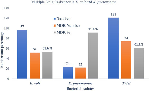 Figure 1 MDR in E. coli and K. pneumoniae.