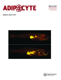 Cover image for Adipocyte, Volume 6, Issue 4, 2017