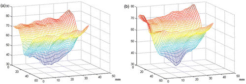 Figure 5. 2D plots of the objective function near the global minimum with respect to two translation parameters. (a) is the result of registering one image frame, while (b) is the result of registering four image frames. The grid unit is 1 mm. [Color version available online.]