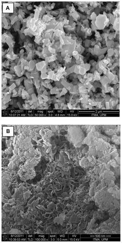 Figure 6 Field emission scanning electron microscopic images of (A) zinc oxide with 50,000 × magnification and (B) salicylate-zinc layered hydroxide nanohybrid 0.8 mol/L with 100,000 × magnification.