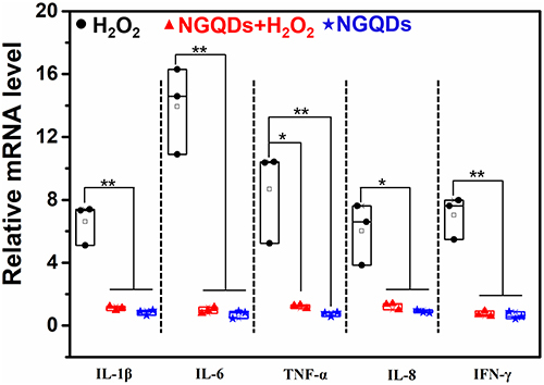 Figure 4 Relative expression of inflammation-related genes in HCECs. (*p ≤ 0.05, **p ≤ 0.01 vs the corresponding treatment group linked with it).