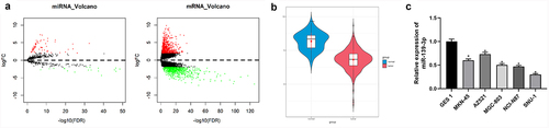 Figure 1. miR-139-3p is poorly expressed in GC. (a) Volcano plot of DEmRNAs and DEmiRNAs in normal and tumor groups. Red: up-regulated genes, green: down-regulated genes; (b) miR-139-3p expression status in normal and tumor samples; (c) Expression status of miR-139-3p in various cell lines. * P< 0.05.