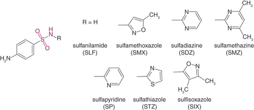 Figure 1. Examples of ‘classical’ sulfonamides.