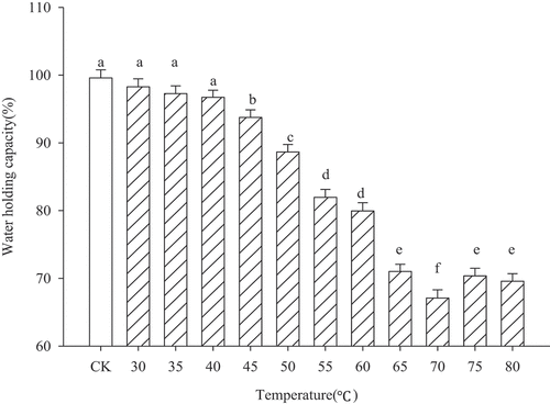 Figure 2. Water-holding capacity of myofibrillar protein gel heated at different temperatures