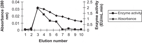 FIGURE 1 Purification of POD from affinity chromatography.