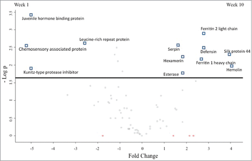 Figure 6. Volcano plot representing differential abundances in proteins between haemolymph extracted from week 1 and week 10 incubated G. mellonella larvae. Fold changes in protein abundance are plotted against the negative logarithmic p value of a t-test. Proteins above the line are statistically significant (P < 0.05) and positive and negative fold changes indicate higher abundance in weeks 10 and 1 larvae respectively.