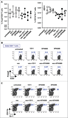 Figure 3. TGF-β blockade did not affect the numbers of Foxp3+CD4+Treg cells and CD11b+Gr-1+ cells. One week after vaccination, tumor draining lymph node cells (A) and tumor infiltrating leukocytes (B and C) were harvested and stained Foxp3+CD4+Treg cells (A and B) and CD11b+Gr-1+ cells (A and C).
