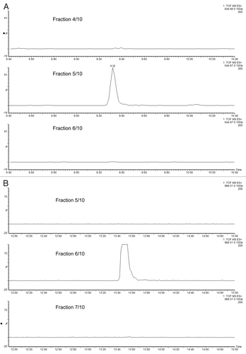 Figure 4 Performance of high-pH peptide fractionation: (A) mass chromatograms of ENL T43 peptide recorded for 3 consecutive fractions during a 10-step 2D fractionation experiment: fraction 4/10 corresponds to a step elution from 14.0 to 15.4% ACN; fraction 5/10 was eluted from 15.4 to 16.7% ACN; fraction 6/10 (16.7 to 18.6% ACN). (B) mass chromatograms of ADH T26 peptide (EALDFFAR, [MH]1+ = 968.48) recorded for 3 consecutive fractions during a 10-step 2D fractionation experiment: fraction 5/10 corresponds to a step elution from 15.4 to 16.7% ACN; fraction 6/10 was eluted from 16.7 to 18.6% ACN; fraction 7/10 (18.6 to 20.4% ACN). The data was acquired in continuum mode and all mass chromatograms used an extraction window of 0.1 Da around the corresponding monoisotopic peaks. All separations were performed using a 30 min gradient (7–35% ACN, 0.1% FA). The amount loaded on-column was 20 fmoles ENL and 2 picomoles ADH digest.