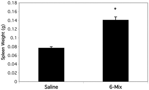 Figure 7. Spleens double in size within 6 days of 6-Mix asbestos exposure. Prior to preparing splenocytes for flow cytometry, spleens were gently dried and then weighed. All mice were the same age with no significant differences in size. n = 6–8 mice/group. *p < 0.05 compared to the saline group.