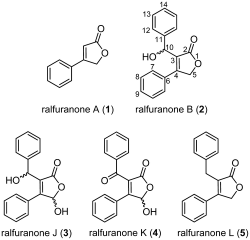 Fig. 1. Structures of ralfuranones.