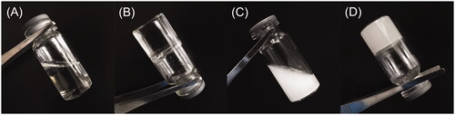 Figure 2. Photos of TSG at 20 °C (A) and 33 °C (B), and photos of Cip-MS-G-TSG at 20 °C (C) and 33 °C (D).