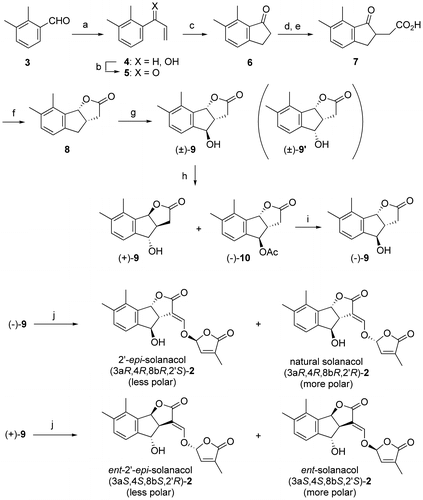 Scheme 2. Synthesis of solanacol.Notes: Reagents and conditions: (a) CH2=CHMgBr, THF (99%); (b) IBX, DMSO (95%); (c) CF3SO3H (92%); (d) NaH, CO(OMe)2, DMF then BrCH2CO2Et; (e) 6 M HCl, AcOH (83% in 2 steps); (f) NaBH4, EtOH then dil. HCl (93%); (g) NBS, AIBN, CCl4 then CaCO3 aq. (60% for 9; 21% for 9′); (h) Chirazyme L-2, CH2=CHOAc, toluene [47% for (+)-9, 47% for (−)-10]; (i) K2CO3, MeOH (98%); (j) t-BuOK, HCO2Et, THF then 4-bromo-2-methyl-2-buten-4-olide (27% for 2′-epi-solanacol, 26% for solanacol, 29% for ent-2′-epi-solanacol, and 28% for ent-solanacol).