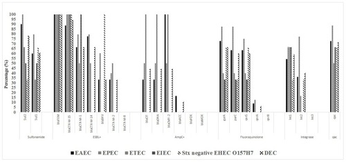 Figure 2 Frequency of antibiotic resistance genes among E. coli pathotypes.