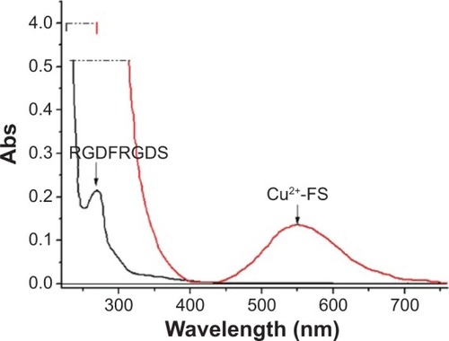 Figure 2 UV spectra of RGDFRGDS and Cu2+-FS.Abbreviations: RGDFRGDS, Arg-Gly-Asp-Phe-Arg-Gly-Asp-Ser; Cu2+-FS, Cu2+-Arg-Gly-Asp-Phe-Arg-Gly-Asp-Ser; Abs, absorbance; UV, ultraviolet.