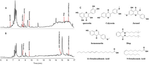 Figure 3. Screening of bioactive compounds in M-SYFSF by UPLC-ESI-MS/MS analysis.