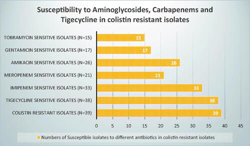 Figure 3. Number of isolates showing susceptibility to other antibiotics while being resistant to colistin.
